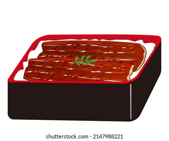 Broiled eel served over rice in a lacquered box . Grilled eel . Eel kabayaki. Japanese food. Vector illustration.