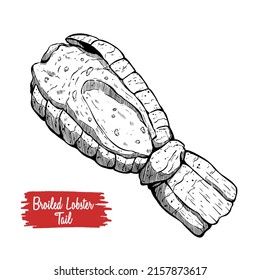 Broiled Lobster Tail Hand Drawn. Tasty Lobster Sea Food Sketch