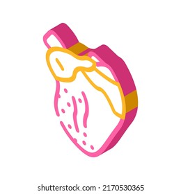 broiler chicken heart isometric icon vector. broiler chicken heart sign. isolated symbol illustration