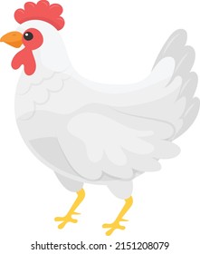 Broilers Concept, commercial meat breeds vector color icon design, Poultry farming symbol, Meat or Eggs Production Sign, Protein and farmyard equipment stock illustration