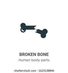 Broken bone glyph icon vector on white background. Flat vector broken bone icon symbol sign from modern human body parts collection for mobile concept and web apps design.