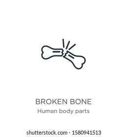 Broken bone icon. Thin linear broken bone outline icon isolated on white background from human body parts collection. Line vector sign, symbol for web and mobile