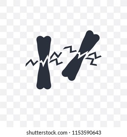 Broken bone vector icon isolated on transparent background, Broken bone logo concept