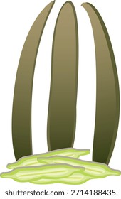 El árbol de huesos rotos es beneficioso para evitar que las células del cuerpo envejezcan demasiado prematuramente y protege contra la formación de radicales libres en el cuerpo.