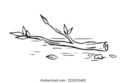 Broken branches fall to the ground retro old line art etching vector