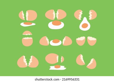 Broken Chicken Egg Design Modern Vector Illustration