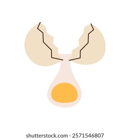 Broken chicken egg with liquid yolk. Organic farm chicken eggs. Vector illustration.