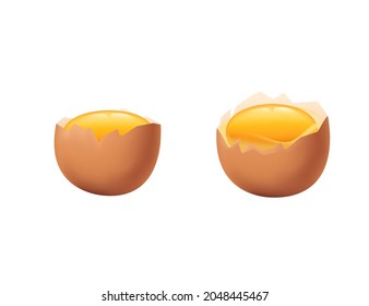 Broken chicken egg shell with fresh raw yolk vector illustration on white background