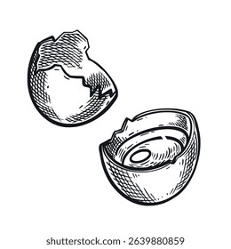 Broken chicken egg with yolk, shell, hand drawn in vector in dark gray. Vector illustration. Suitable for food packaging design, printing on fabric, paper, creativity.
