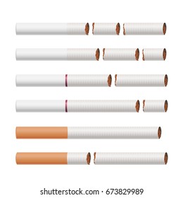 Broken Cigarettes Set Vector. Smoking Kills. Quit Smoking Concept. World No Tobacco Day. Realistic Close-up Illustration. Isolated