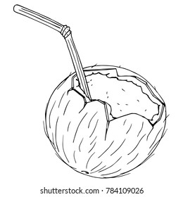 Broken coconut. Chopped hairy nut. Vector illustration. Bent striped cocktail tube. Plastic tube for cocktails. Cocktail in a coconut. A cocktail with coconut milk.