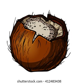 broken coconut cocktail beach. hand drawn