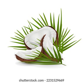 Broken coconut. Coconut particles with leaves isolated on a white background. Realistic vector illustration in 3d style with shadows