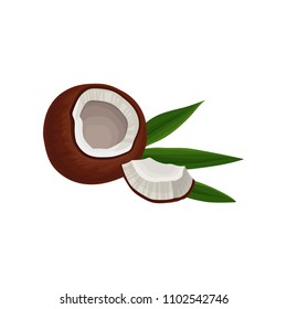 Broken coconut with piece and green leaf. Tasty tropical fruit. Flat vector element for shampoo label or party poster