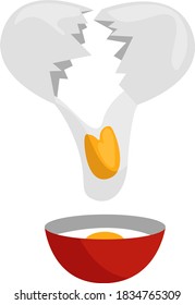 Broken egg, illustration, vector on white background