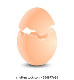 Broken egg shell on white background. Vector illustration.