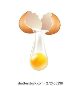 Broken egg shells isolated on white photo-realistic vector illustration