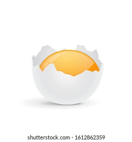 Broken egg. Vector 3d illustration isolated on white background