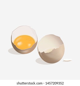 Broken egg with yolk and egg shell. Realistic vector illustration