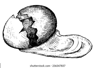 broken egg,chicken's egg, doodle style, sketch illustration, vector 