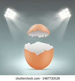 Broken empty blank chicken egg with spotlights. Vector illustration.