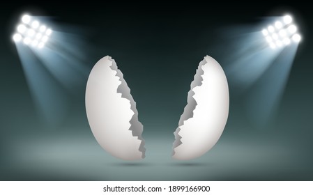 Broken empty chicken egg into two halves. Illuminated by spotlights. Vector illustration.