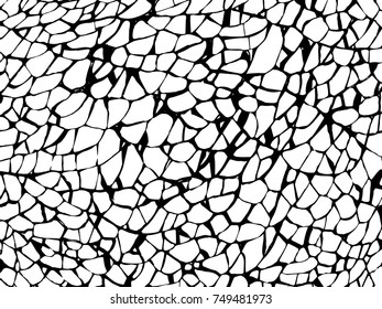 The broken glass.The cracks texture white and black. Vector background.