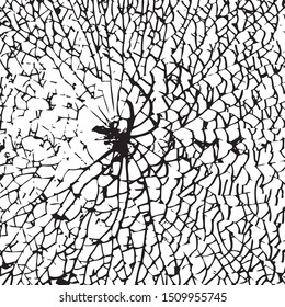 Broken glass texture, Cracks in the glass on the black background