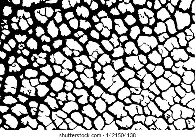 broken ground for abstract background