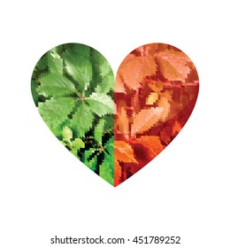 Broken heart red and green leaves. Vector illustration.