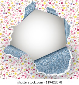  broken hole paper background.Vector design.