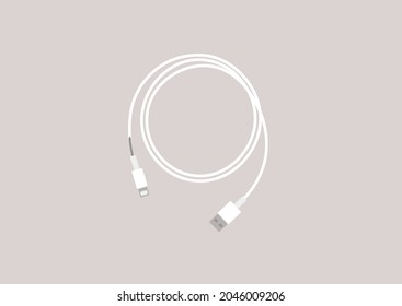 A broken mobile charging cable, an old USB wire