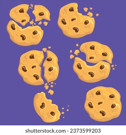 Broken oatmeal cookies set vector design illustration