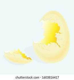 Broken Shell Chicken Yellow Egg