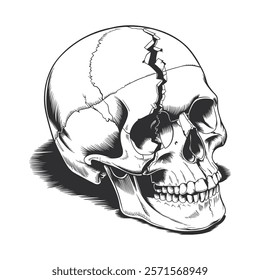 Broken Skull Illustration, Dark and Dramatic.