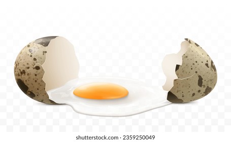 Un huevo de codorniz con manchas rotas aislado en un fondo transparente. La proteína y la yema salieron de una cáscara de huevo rota que se cerró. Ilustración horizontal del huevo roto. Diseño vectorial 3d realista