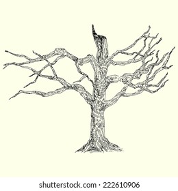 broken tree