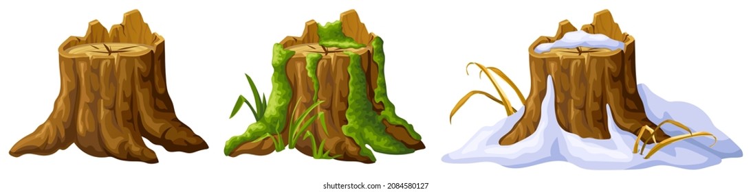 Broken tree in moss, under snow. Cartoon stump in lichen in swamp jungle. Mouldering oak and snowdrifts. Isolated vector elements game style on white background.