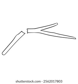 broken twig illustration hand drawn outline vector