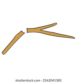 broken twig illustration hand drawn isolated vector