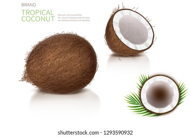 Broken and whole coconut, half coco nut with green palm leaves, isolated on white background, top view. Design element for food packaging, ingredient for natural organic cosmetics.