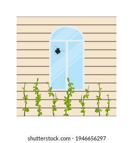 Broken window or glass. Cracked
 or damaged. Sharp shards. Facade of the building with plastic panels and plants. Abandoned house. Vector