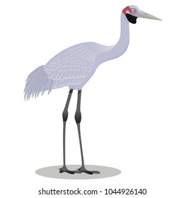 Brolga vector cartoon