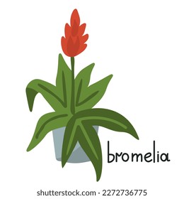 Bromelia vector illustration with red flower