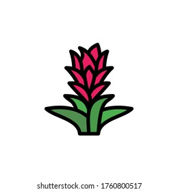 Bromeliaceae-Blattsymbol. Einfache Farbe mit umrissenen Vektorelementen für Heilpflanzensymbole für i und ux, Website oder mobile Anwendungen