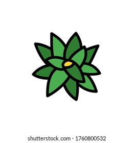 Bromeliaceae leaf icon. Simple color with outline vector elements of healing plant icons for ui and ux, website or mobile application