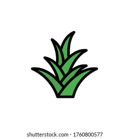 Bromeliaceae leaf icon. Simple color with outline vector elements of healing plant icons for ui and ux, website or mobile application
