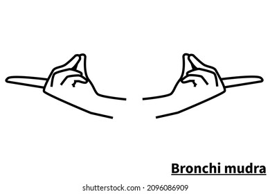 Bronchi mudra, isolated on white background. Meditation technique for health. Correct placement of the fingers. Vector