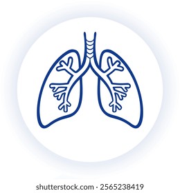 Bronchi vector illustration depicting human organ anatomy details for educational use