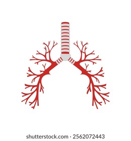 Bronchus, Human Body Part Illustration